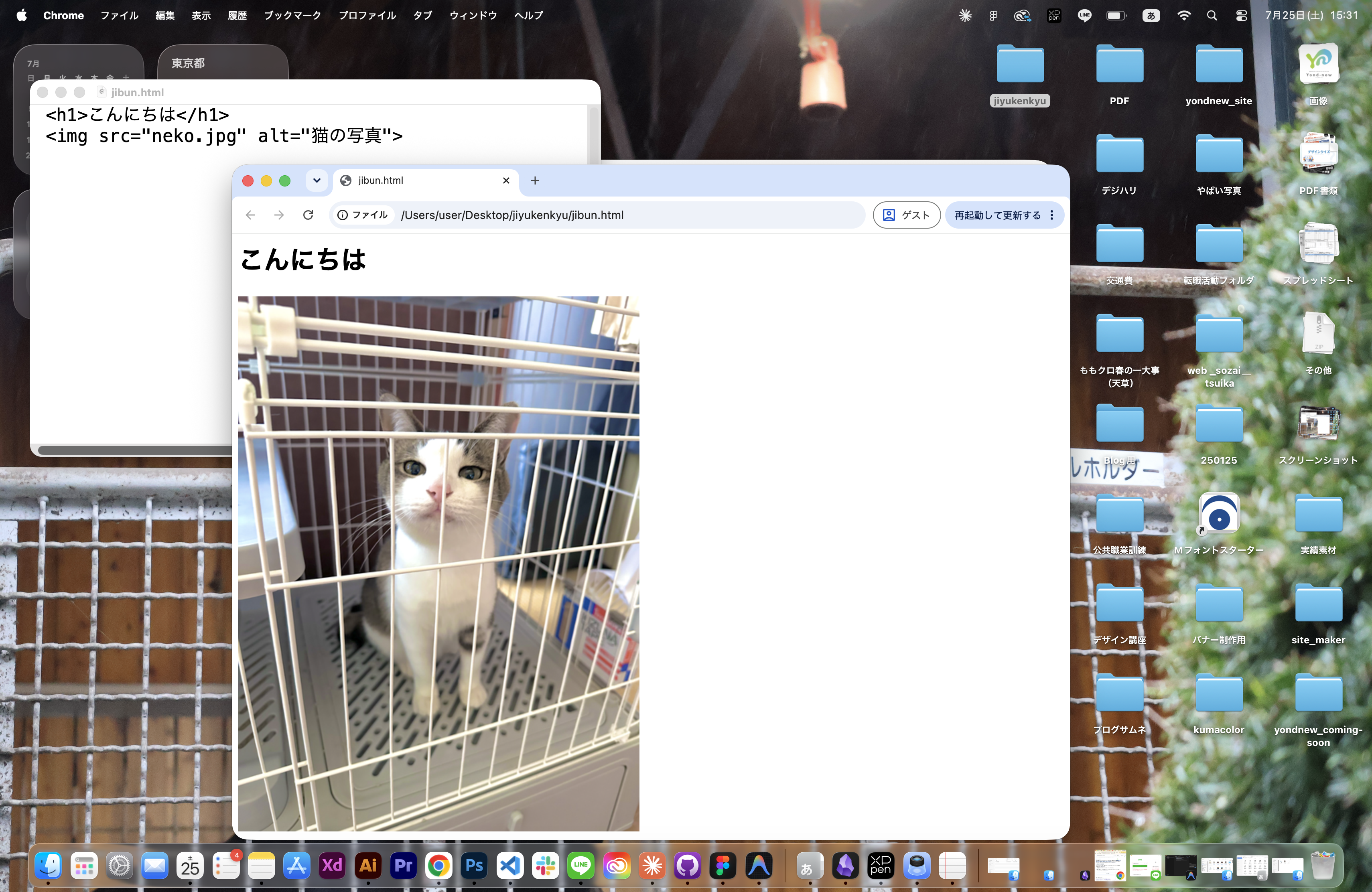 ブラウザにネコのなぎの写真が表示された画面