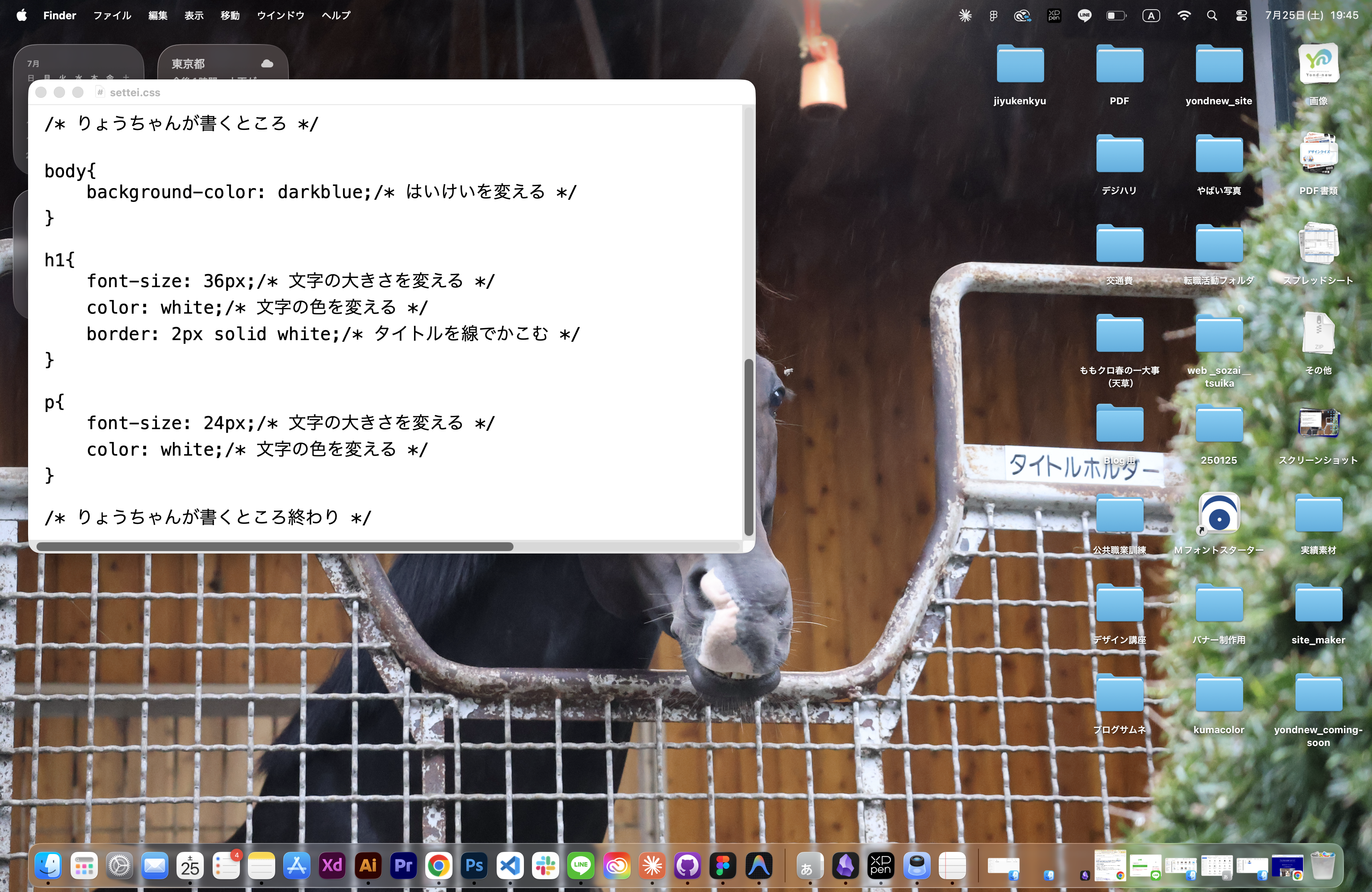 自由研究で書いたCSSのソースコード
