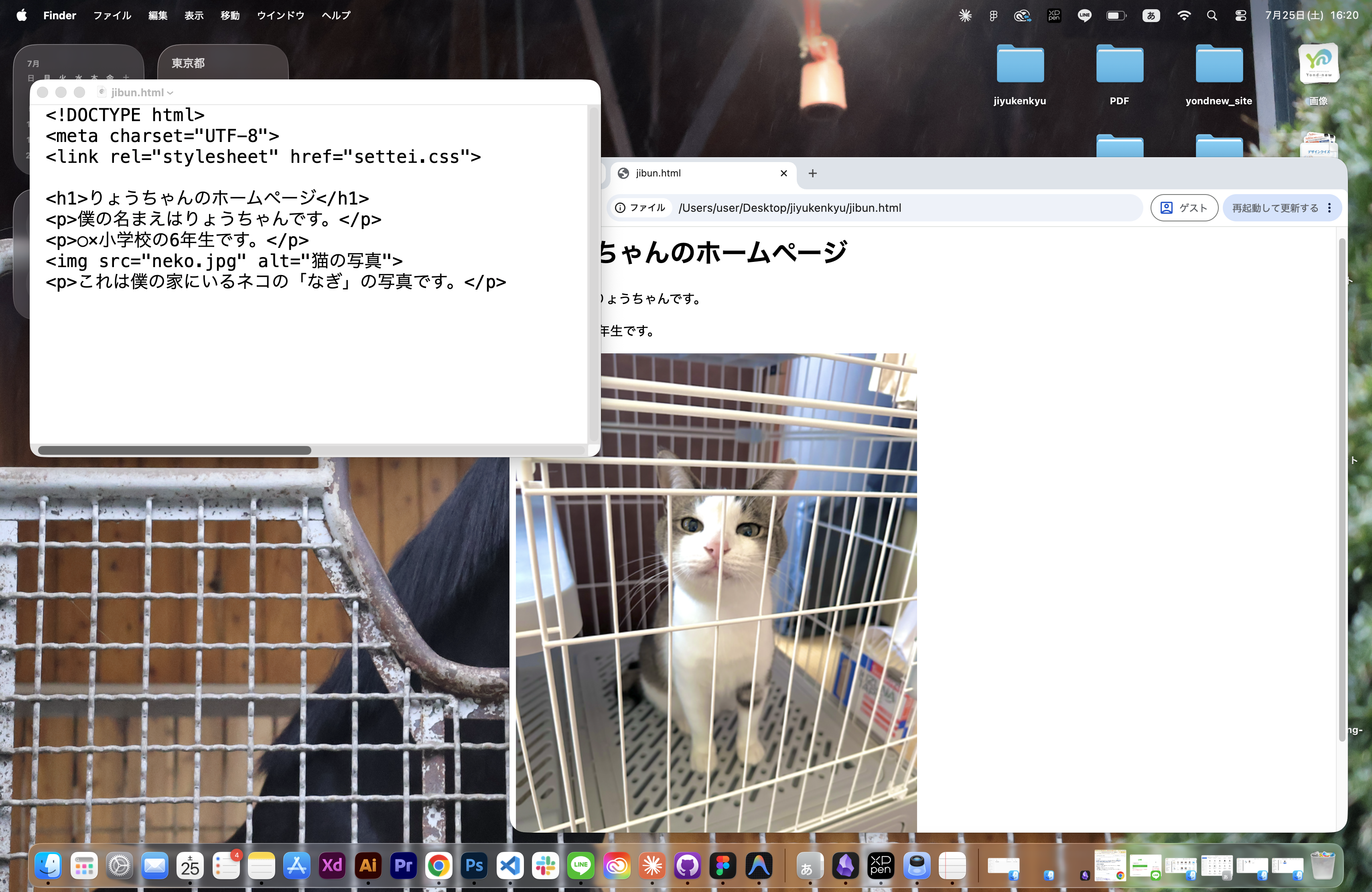 自由研究で書いたHTMLのソースコード